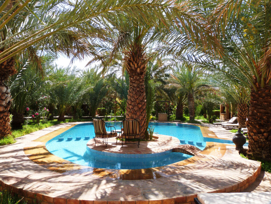 Pourquoi choisir La Rose du Désert pour votre séjour au Maroc ?