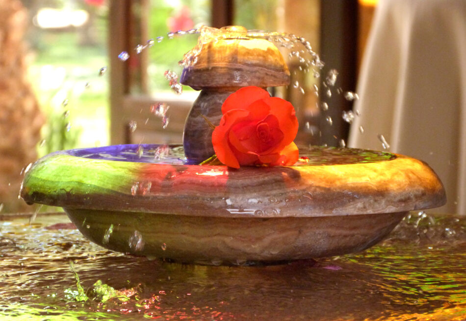 Les plus belles photos prises par nos visiteurs