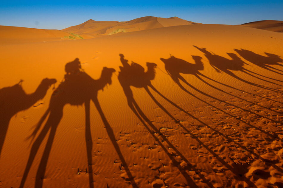 À la découverte du désert marocain depuis La Rose du Désert