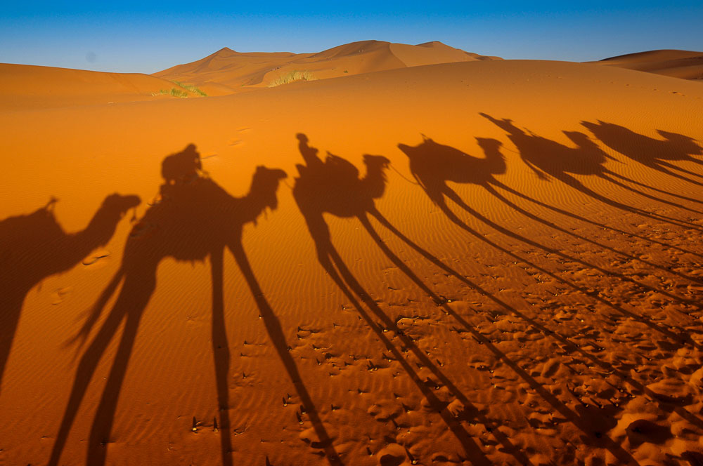 À la découverte du désert marocain depuis La Rose du Désert